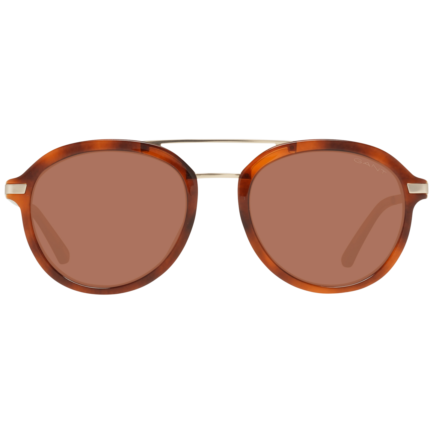 Brown Men Sunglasses