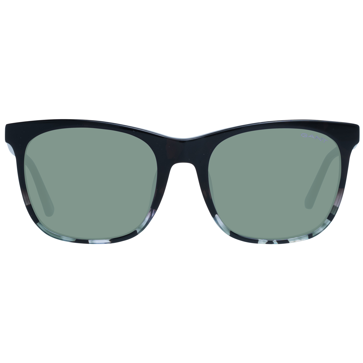 Brown Women Sunglasses