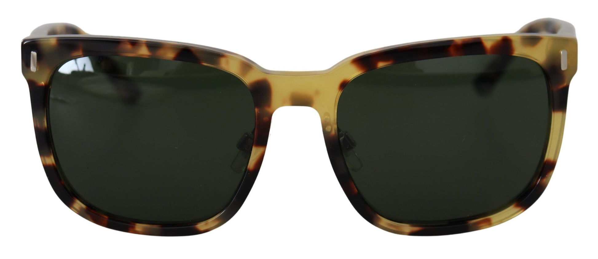 Elegant Wayfarer Havana Sunglasses